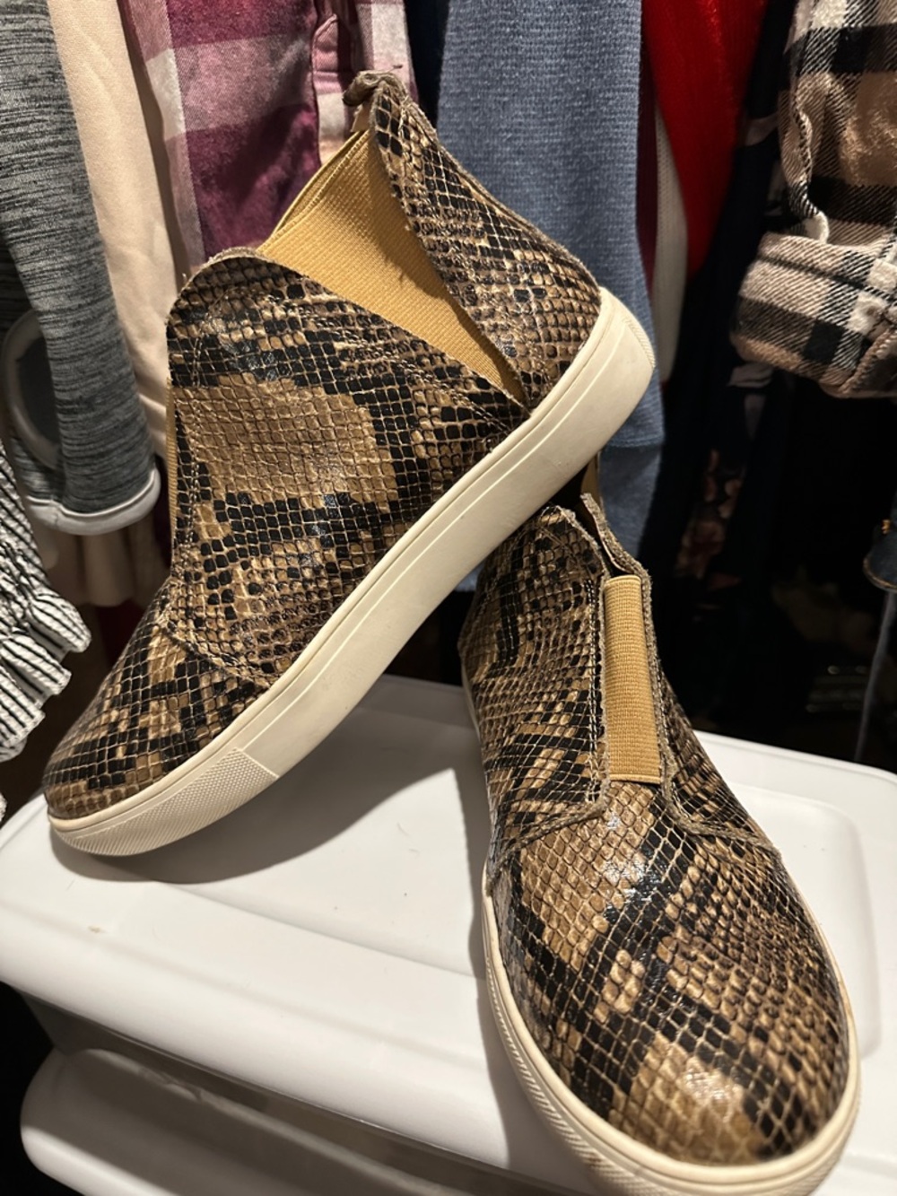 Coconuts by Matisse Tan Snake-Print Slip-On Sneakers
